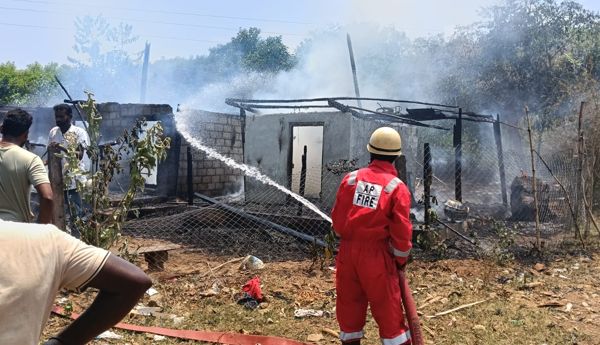 two-palm-trees-were-burnt-causing-property-damage-of-rs-6-lakh
