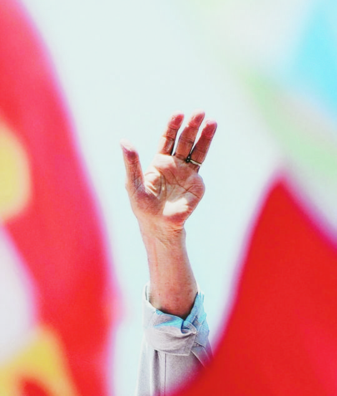 lula hand.jpg