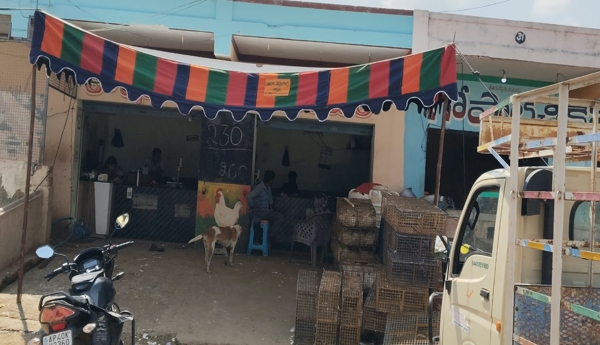 El Niño Effect on Mahalaya Purnima – Farmers Forgo Celebrations