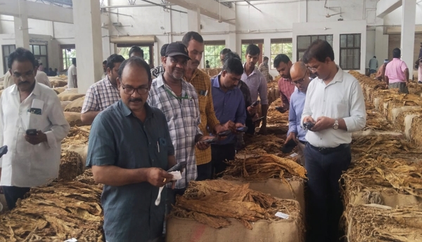 Tobacco prices soar – Farmers delighted