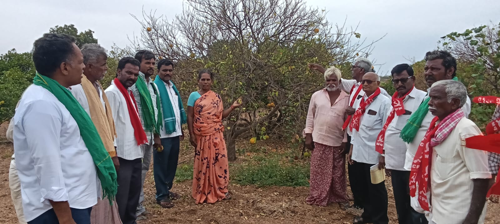 కళ్లేదుటే చెట్లన్నీ ఎండిపోతున్నాయ్‌..!
- సిపిఎం బృందం ఎదుట రైతుల ఆవేదన
ఉమ్మడి అనంతపురం, ప్రకాశం జిల్లాల్లో పర్యటన image 1