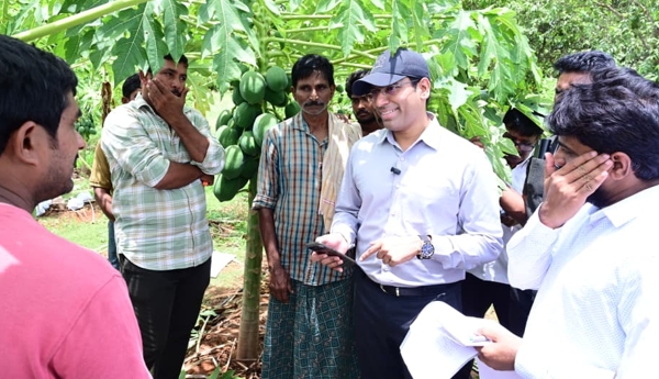 District Collector Venkateswarlu inspects papaya harvesting in Railway Kodur.
