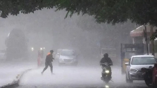 rains2