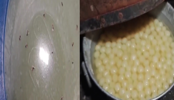 1000 kg of adulterated rasagulla seized