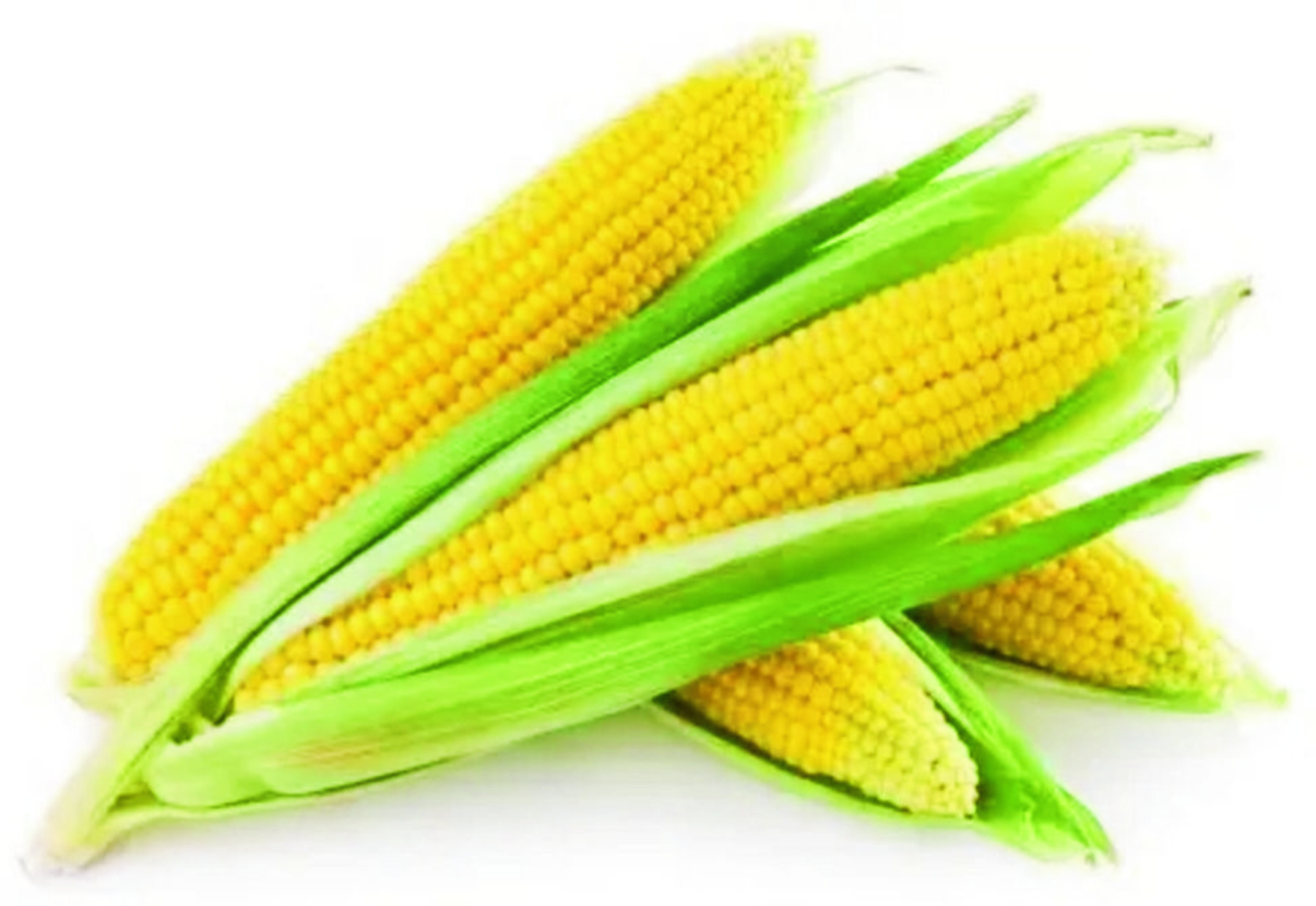 sweet corn