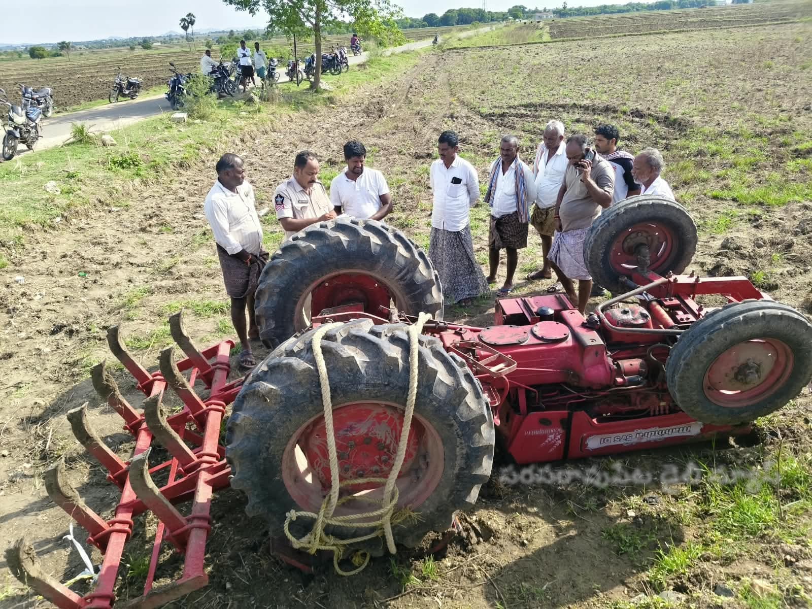 tractor.jpeg