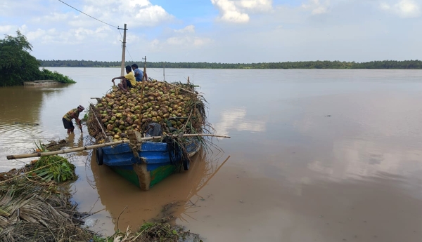 Vashishta Godavari receding