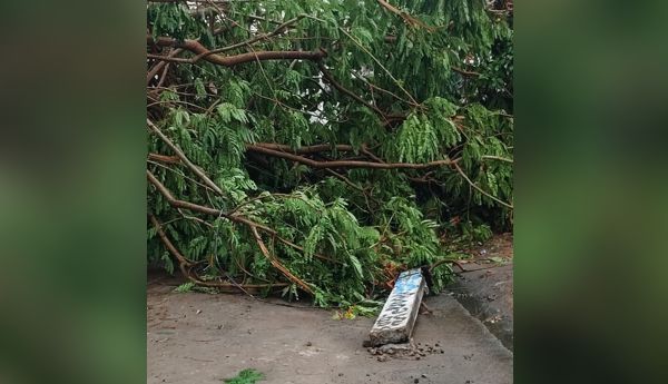 power-pole-was-broken-by-strong-winds