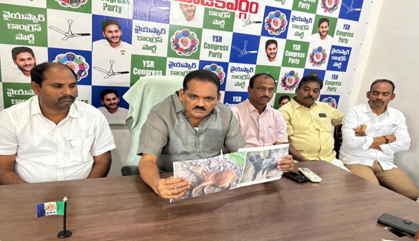 YCP's victory in the local body elections is certain: Former MLA Botsa Appala Narasayya.