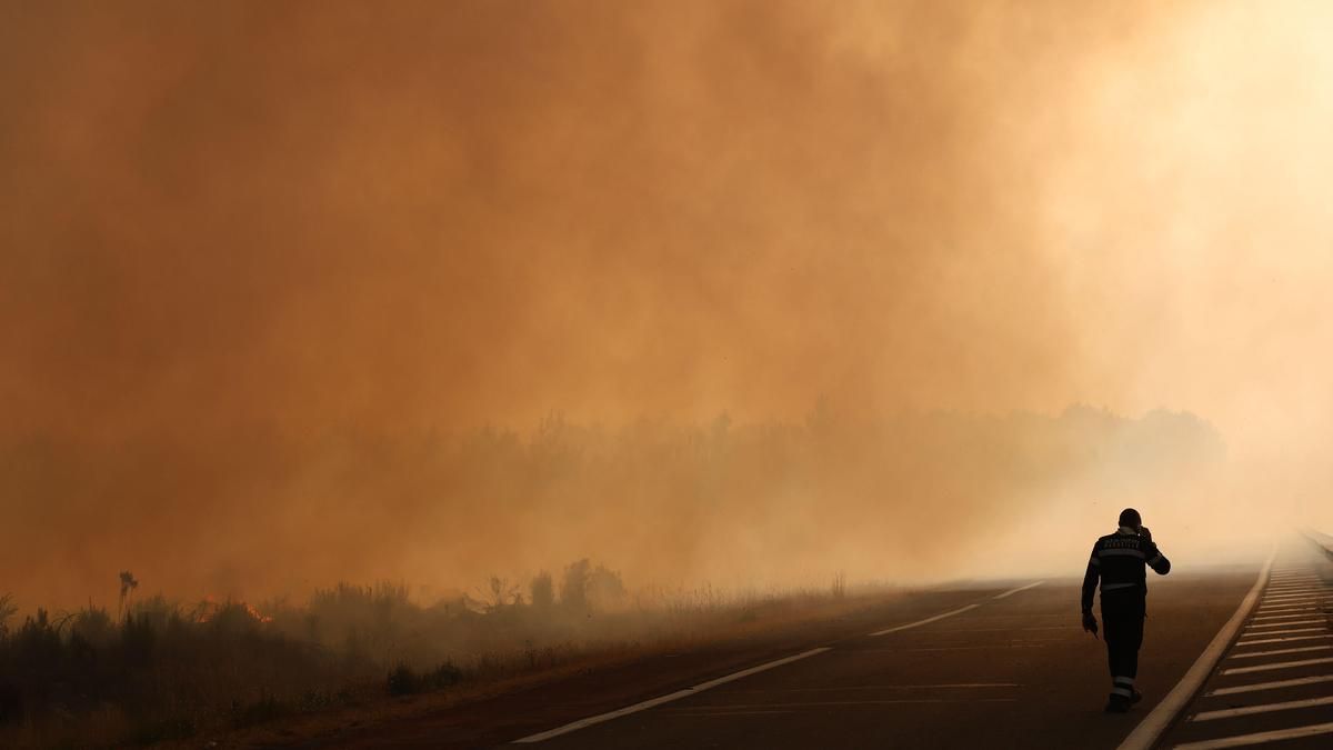 wildfires