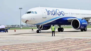 indigo