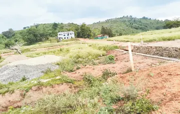 kasipatnam