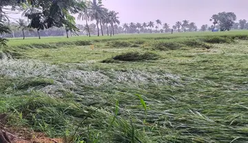 Strong winds and heavy rain in Konaseema