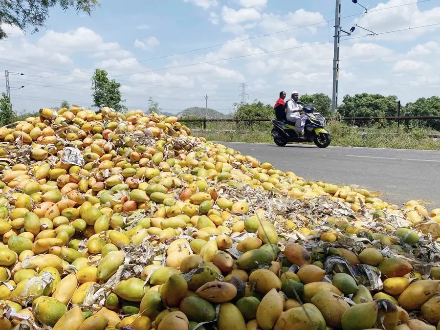 mango