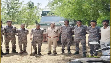 Elephant Movement — Officials' Warnings