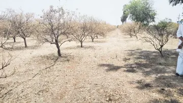 marthadu village 7 .jpg
