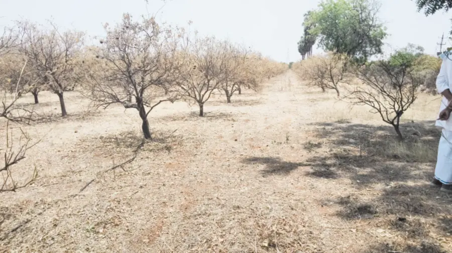marthadu village 7 .jpg