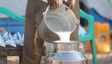 Milk procurement price hike in AP: Vijaya Dairy