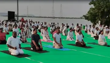 mla