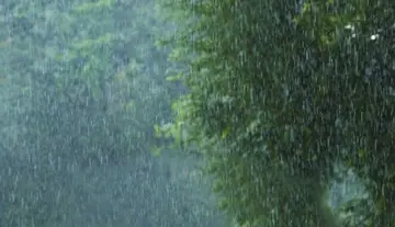 Southwest monsoon has not yet spread across Telangana trees and rain
