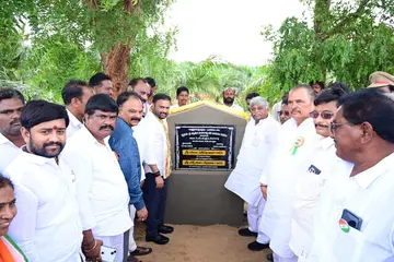 nda mp