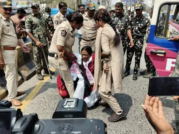 ongole-3