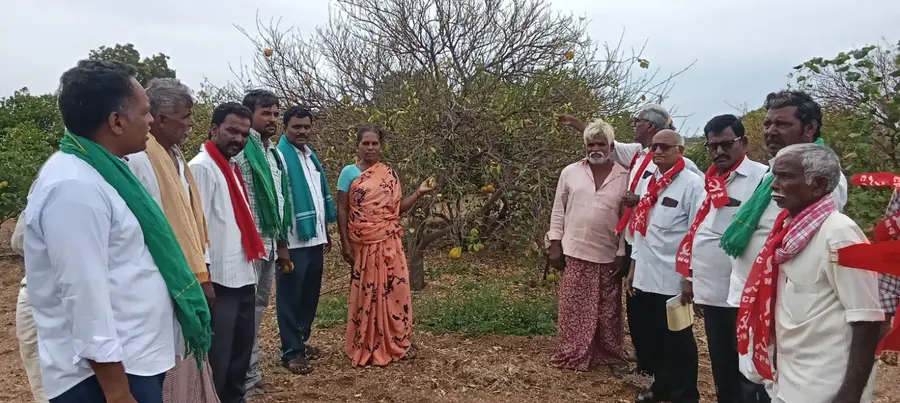 కళ్లేదుటే చెట్లన్నీ ఎండిపోతున్నాయ్‌..!
- సిపిఎం బృందం ఎదుట రైతుల ఆవేదన
ఉమ్మడి అనంతపురం, ప్రకాశం జిల్లాల్లో పర్యటన image 1