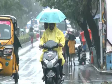 rain.jpg
