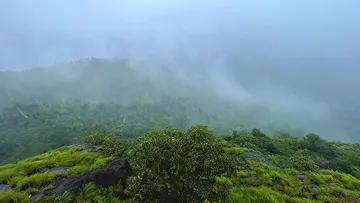 rain evaporates