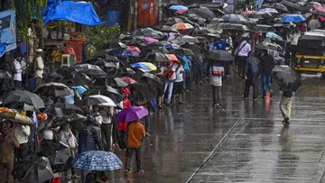 rains in 24 hrs