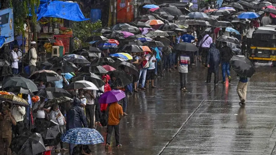 rains in 24 hrs