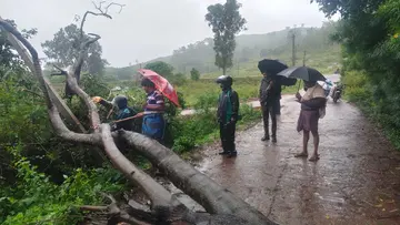 rains