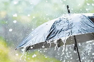 rains-1784609332.jpg