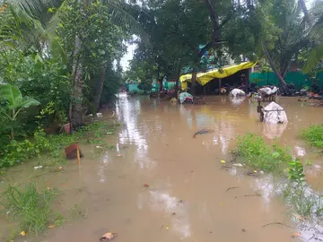 rains.jpeg