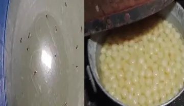 1000 kg of adulterated rasagulla seized