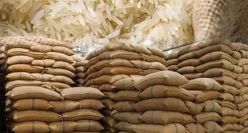 rice exports