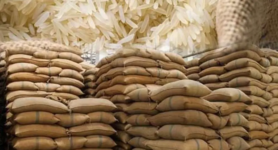 rice exports
