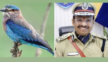 Strict action if Indian Rollers are captured: CP Sajjanar