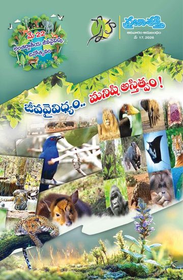 Epaper - Sunday Magazine on 2026-05-17
