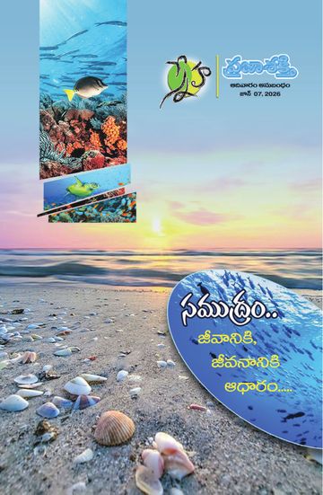 Magazine Sunday Magazine on 2026-06-07