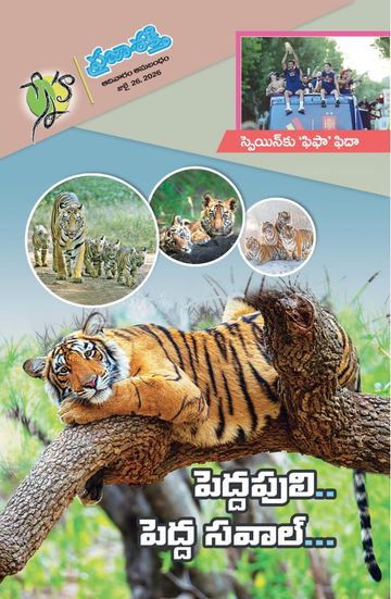 Magazine Sunday Magazine on 2026-07-26