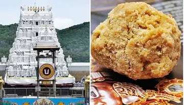 ttd-laddu