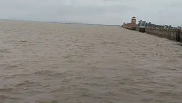 tunga badra.jpg
