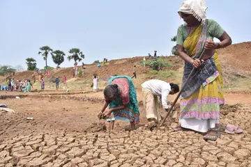 upadi-1791206843896-2782.jpg