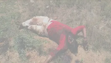 Young Man Brutally Murdered