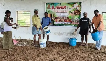 High yields through natural farming