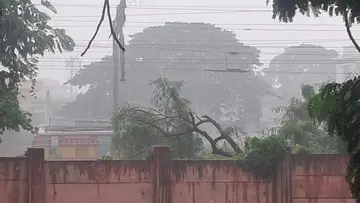 vzm