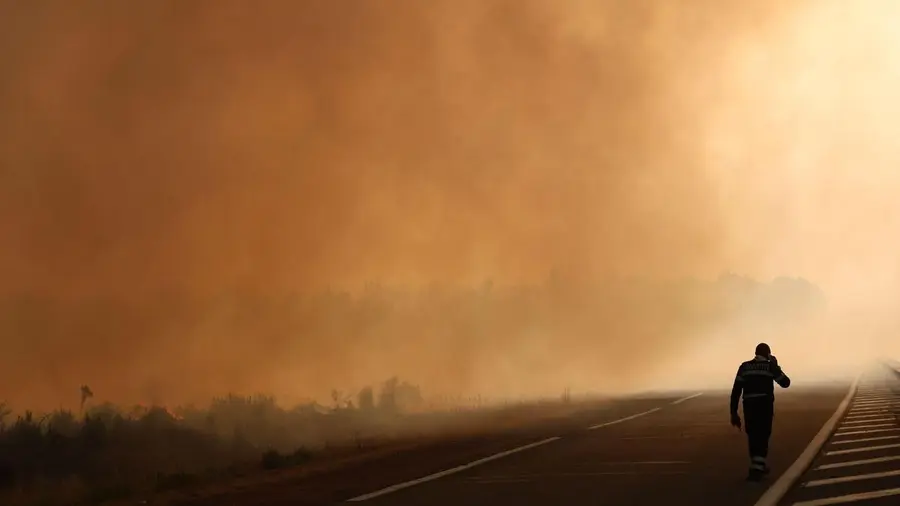 wildfires