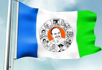 ycp.jpg